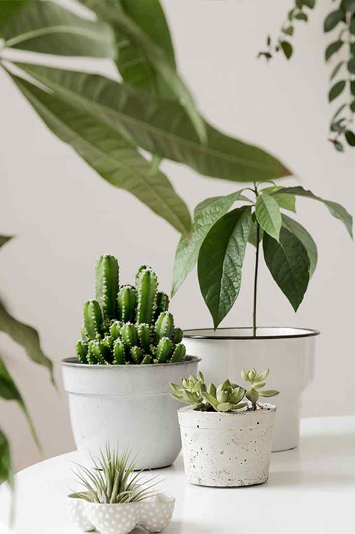 https://www.melbourneuniqeconstruction.com.au/wp-content/uploads/2019/10/inner_quote.jpg